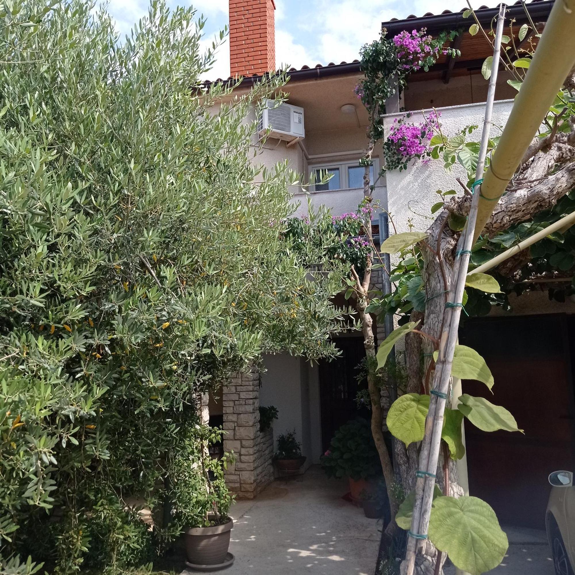 Apartments Anica Pula Exterior photo